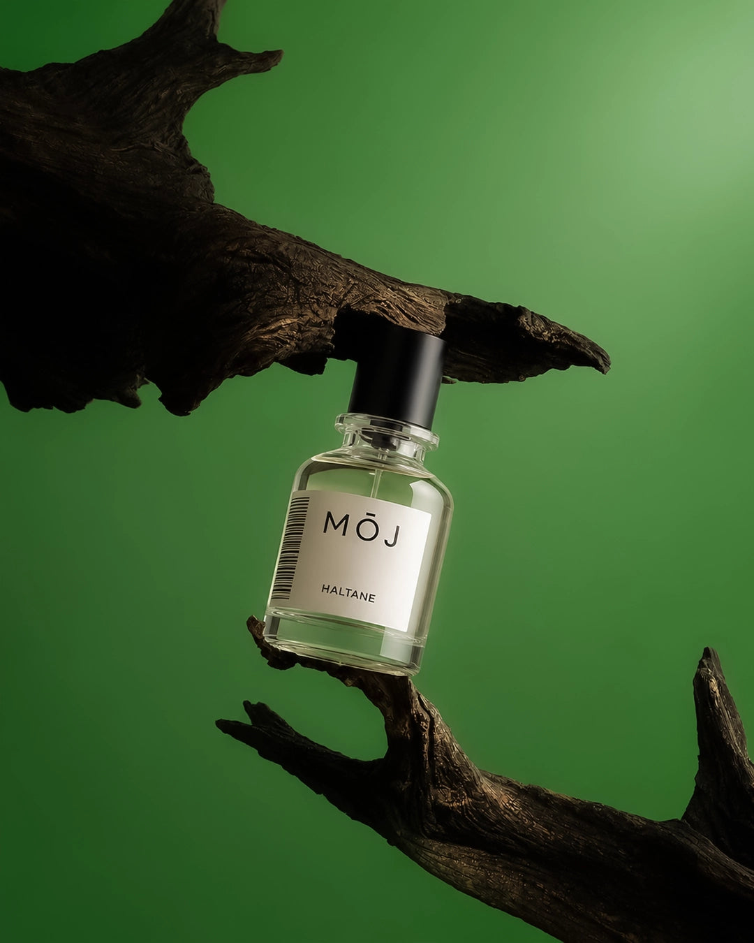 Haltane