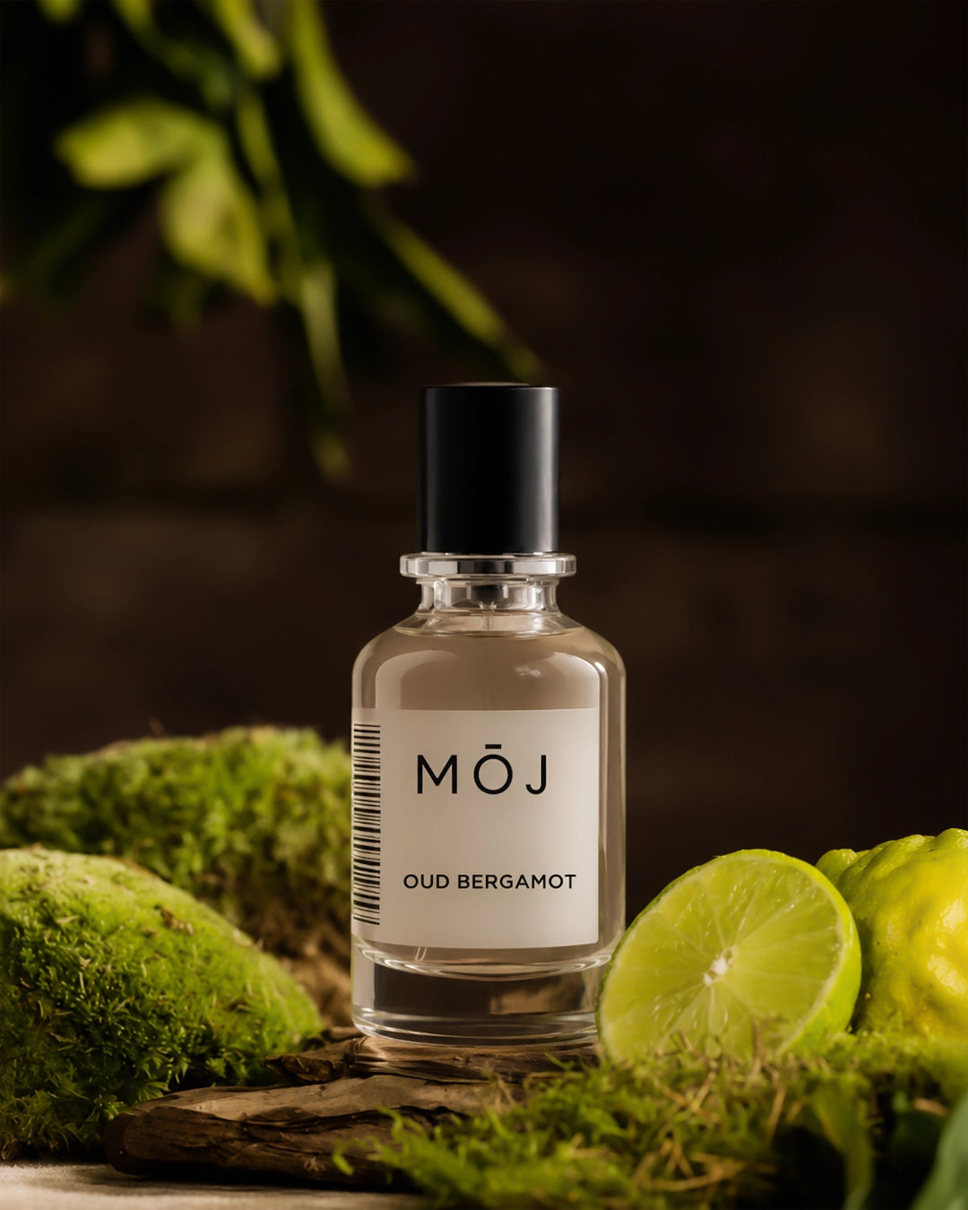 Oud Bergamot