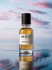 Imaginatio – Our Inspired Creation of Imagination by LV