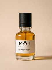 Imaginatio – Our Inspired Creation of Imagination by LV